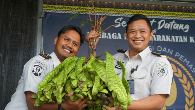 Tekun Berkebun, WBP Lapas Kalianda Berhasil Panen Pete dan Pare