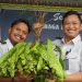 Tekun Berkebun, WBP Lapas Kalianda Berhasil Panen Pete dan Pare