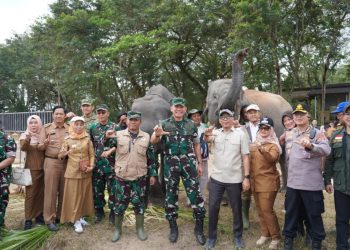 Sempat Dikhawatirkan Terdampak Karhutla, Begini Kondisi Gajah di Way Kambas