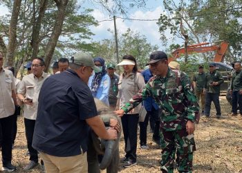Komisi IV DPR RI Soroti Karhutla TNWK, Deteksi Dini dan Pemulihan Habitat Gajah Jadi Prioritas