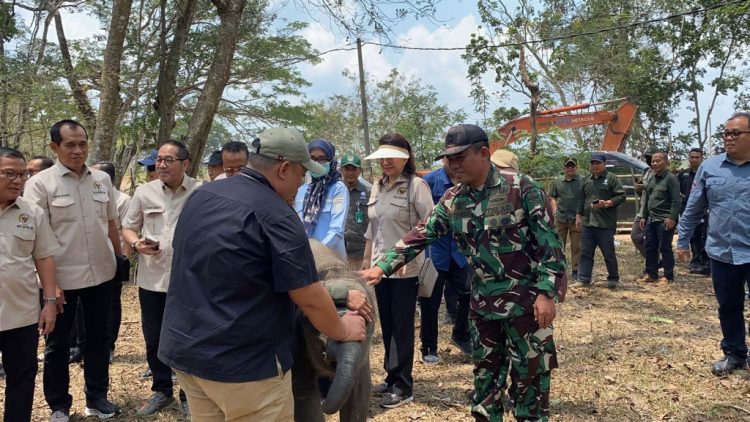 Komisi IV DPR RI Soroti Karhutla TNWK, Deteksi Dini dan Pemulihan Habitat Gajah Jadi Prioritas