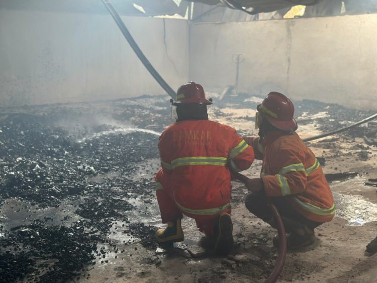 Diduga Mesin Oven Overheat, Pabrik Pengolahan Kayu di Pringsewu Terbakar