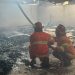 Diduga Mesin Oven Overheat, Pabrik Pengolahan Kayu di Pringsewu Terbakar
