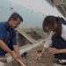 WBP Lapas Kalianda Turun ke Lahan, Tanam Cabai untuk Bangun Kemandirian