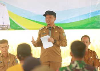 Optimalkan Aset Desa, Bupati Pringsewu Panen Raya Corporate Farming di Pujodadi