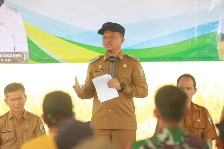 Optimalkan Aset Desa, Bupati Pringsewu Panen Raya Corporate Farming di Pujodadi