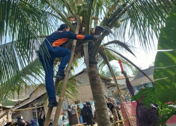 Diduga Akhiri Hidup, Warga Ambarawa Ditemukan Meninggal di Dekat Rumah
