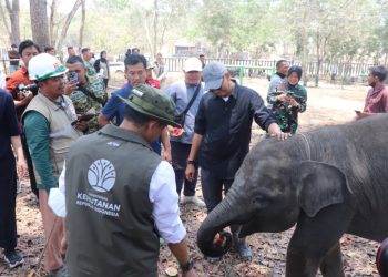Brigjen Sriyanto Pimpin Penguatan Infrastruktur Mitigasi Gajah di Way Kambas