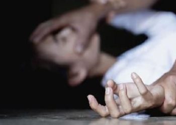 Dugaan Pencabulan Anak Belum Tuntas, DPRD dan LSM Desak Polres Lampung Selatan Bergerak