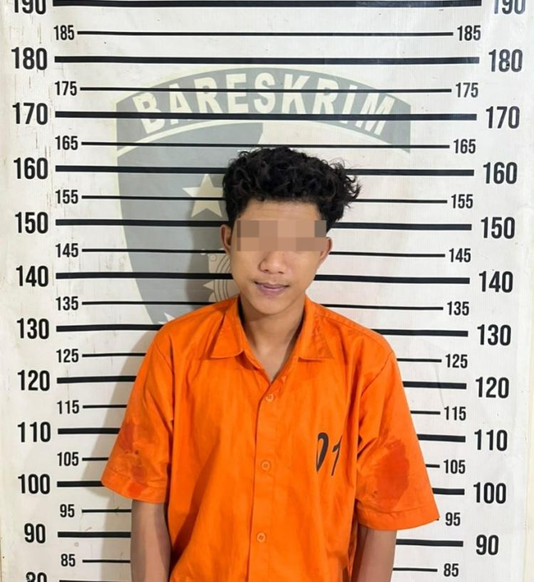 Diduga Bawa Kabur Motor Teman, Pemuda Ditangkap Saat Nonton Kuda Kepang