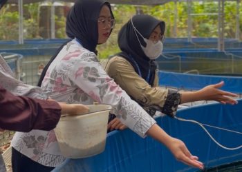 Bukan Sekadar Pembinaan, Lapas Kalianda Bekali WBP dengan Keterampilan Budidaya Ikan
