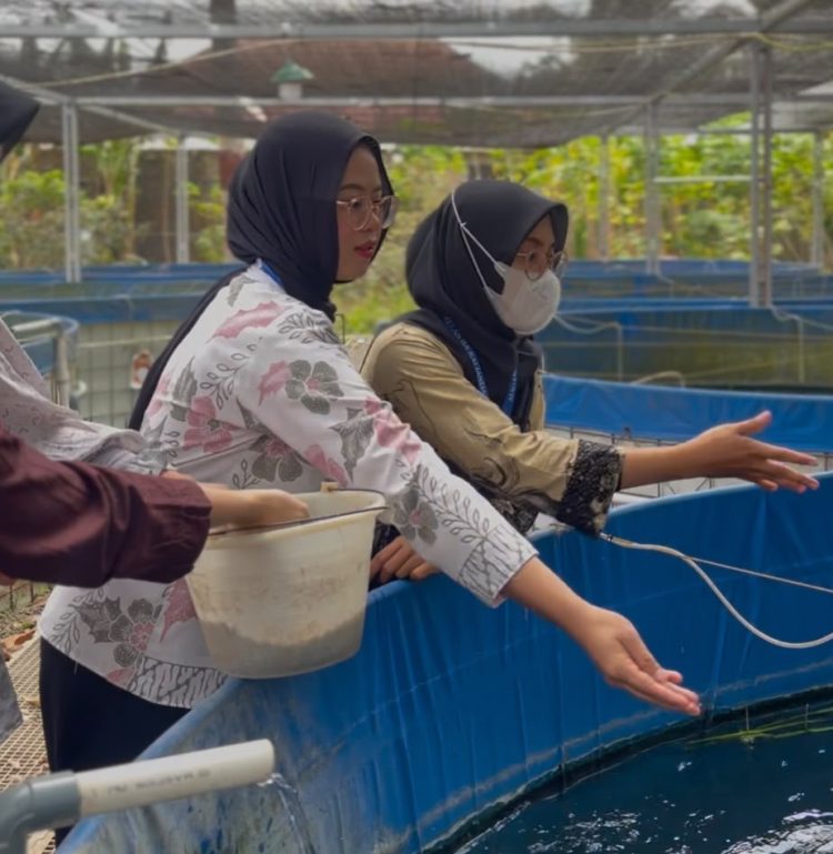 Bukan Sekadar Pembinaan, Lapas Kalianda Bekali WBP dengan Keterampilan Budidaya Ikan