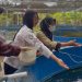 Bukan Sekadar Pembinaan, Lapas Kalianda Bekali WBP dengan Keterampilan Budidaya Ikan