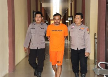 Diburu hingga Sumsel, DPO Sindikat Pencurian Sapi Pringsewu Akhirnya Tertangkap