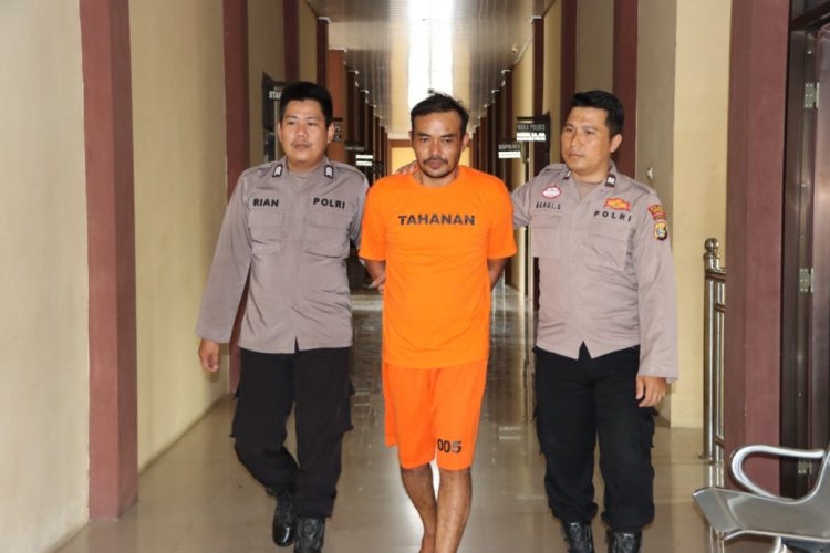 Diburu hingga Sumsel, DPO Sindikat Pencurian Sapi Pringsewu Akhirnya Tertangkap