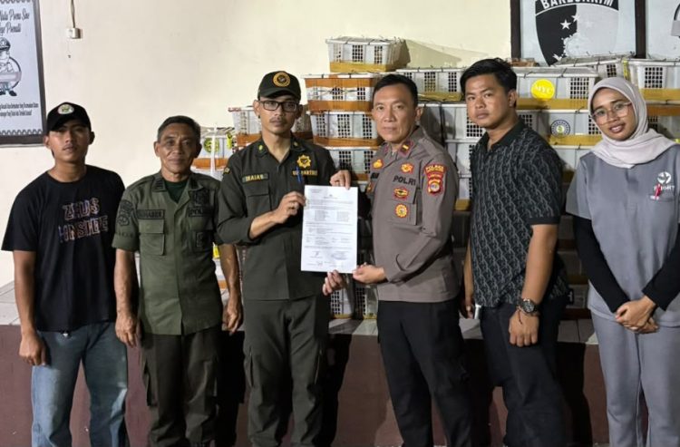 2.775 Burung Berbagai Jenis Ditemukan di Bagasi Bus, Diamankan Petugas di Bakauheni