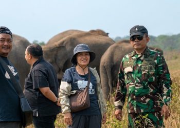 Transformasi Konservasi Way Kambas, Gajah Mulai Dipersiapkan Lepas dari Rantai