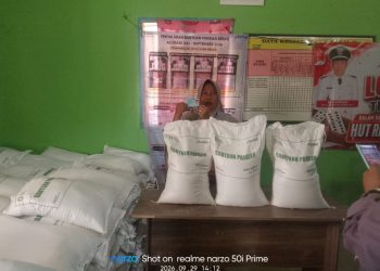 Ringankan Beban Warga, Pemdes Gedung Riang Salurkan Bantuan Beras