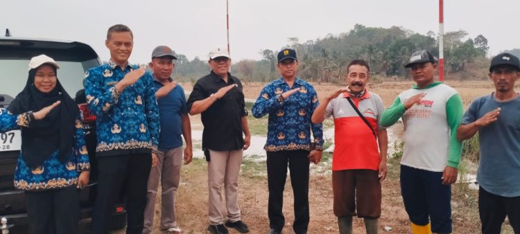 Saluran Pembuangan Air Dinilai Terlalu Kecil, Petani Pringsewu Minta Solusi Banjir
